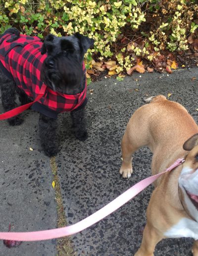 Annie and Daisy
