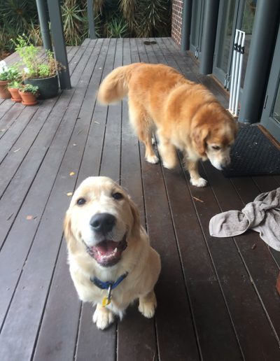 Toby and Harry